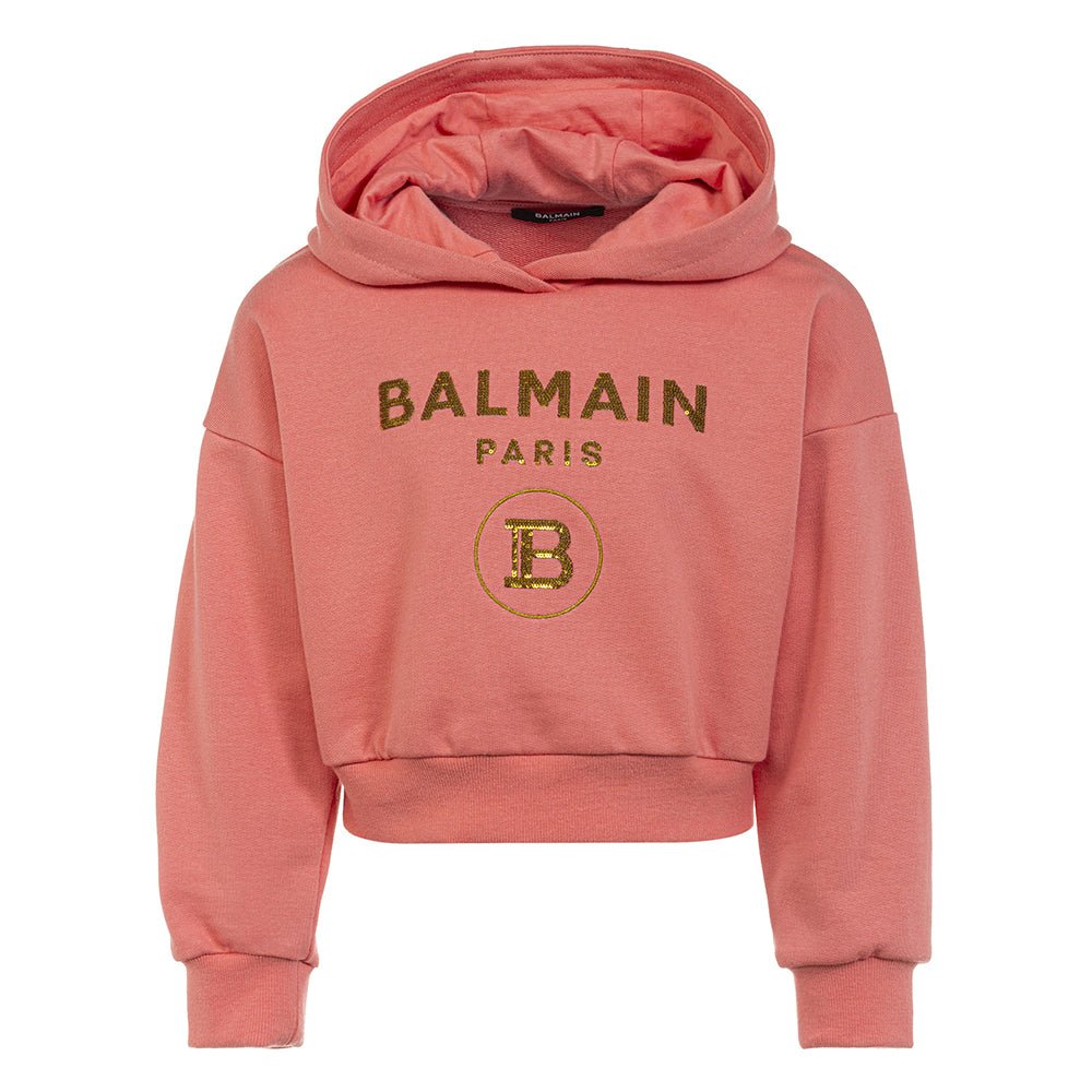 Pink shop balmain hoodie